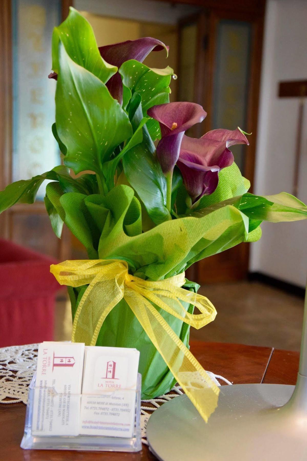 La Torre Hotel Moie Zewnętrze zdjęcie